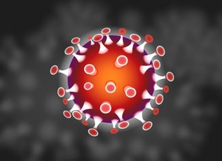 Małopolska: 6. przypadek zakażenia koronawirusem