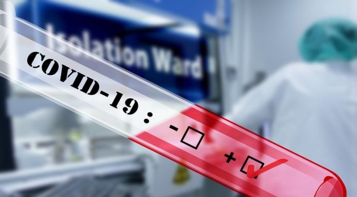 Wiceminister zdrowia: „W statystykach dotyczących koronawirusa liczymy tylko testy genetyczne”