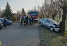 Kolizja w Damienicach. Samochód uderzył w drzewo – ZDJĘCIA