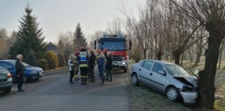 Kolizja w Damienicach. Samochód uderzył w drzewo – ZDJĘCIA