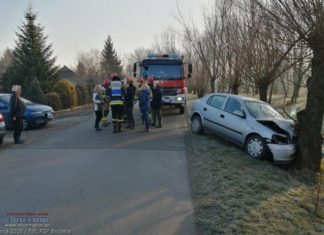 Kolizja w Damienicach. Samochód uderzył w drzewo – ZDJĘCIA