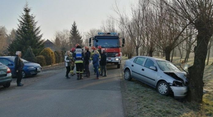 Kolizja w Damienicach. Samochód uderzył w drzewo – ZDJĘCIA