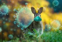 Dziś rząd przedstawi nowe obostrzenia, które będą obowiązywać m.in. w okresie świąt