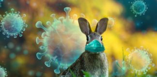 Obostrzenia, a co z Wielkanocą? „Powinniśmy maksymalnie stosować reżim niespotykania się”