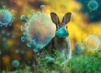 Obostrzenia, a co z Wielkanocą? „Powinniśmy maksymalnie stosować reżim niespotykania się”