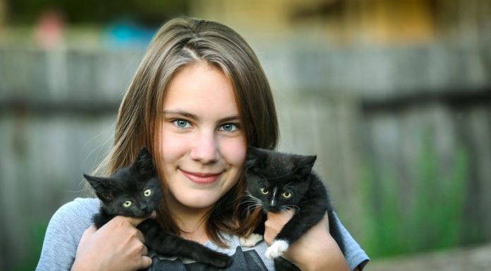 Badania tysięcy próbek potwierdzają, że psy i koty nie przenoszą koronawirusa