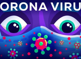 Świetna animacja tłumaczy jak atakuje koronawirus i jak walczyć z pandemią – WIDEO