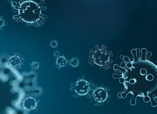 Koronawirus. Aktualne dane z bocheńskiego sanepidu: 9 osób zarażonych, 711 w kwarantannie