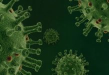 Dlaczego w Lombardii jest taka duża śmiertelność? Czy wirus zmutował? Jest też inna teoria