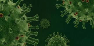 Koronawirus w Małopolsce. Już 4 potwierdzone przypadki zakażenia