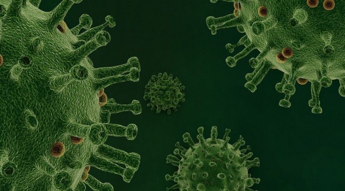 Koronawirus w Małopolsce. Już 4 potwierdzone przypadki zakażenia