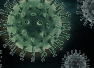 Policja: To mit, że młodzi ludzie nie chorują; zostańcie w domu!