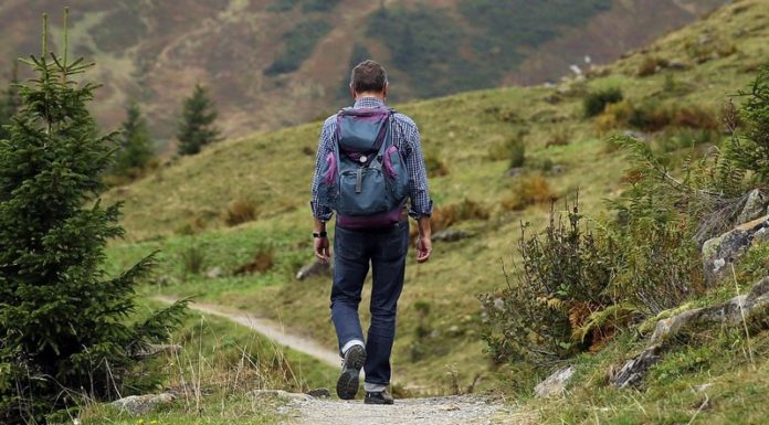Wycieczki z PTTK: Beskid Mały, Grybów, Węgry i Słowacja