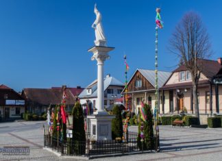 Lipnica Murowana. Palmy jednak są! – ZDJĘCIA, WIDEO