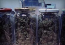 Łapanów. Policjanci zabezpieczyli narkotyki i zatrzymali dwóch poszukiwanych