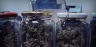 Łapanów. Policjanci zabezpieczyli narkotyki i zatrzymali dwóch poszukiwanych