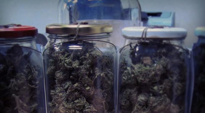 Łapanów. Policjanci zabezpieczyli narkotyki i zatrzymali dwóch poszukiwanych