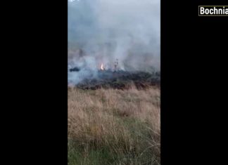 Wypalanie traw w Bochni. „Czy pan jest k*** normalny?” – WIDEO