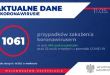 Koronawirus w Małopolsce: 1061 potwierdzonych przypadków zakażenia