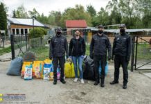 Pomogli czworonogom ze schroniska w Borku – ZDJĘCIA