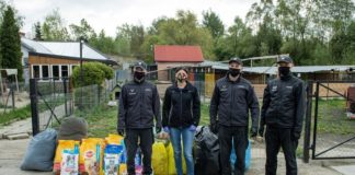 Pomogli czworonogom ze schroniska w Borku – ZDJĘCIA