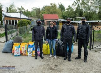 Pomogli czworonogom ze schroniska w Borku – ZDJĘCIA