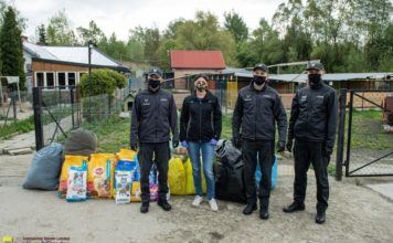 Pomogli czworonogom ze schroniska w Borku – ZDJĘCIA