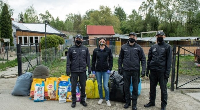 Pomogli czworonogom ze schroniska w Borku – ZDJĘCIA
