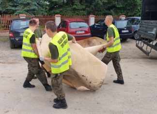 Małopolscy terytorialsi pomagają usuwać skutki powodzi w Łapanowie