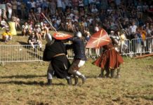 XXV Międzynarodowy Turniej Rycerski w Dębnie przełożony na 2021 rok