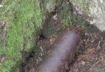 Mieszkaniec Żegociny znalazł w lesie niewybuch