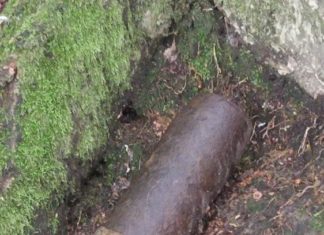 Mieszkaniec Żegociny znalazł w lesie niewybuch