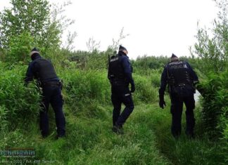 Policjanci Archiwum X wracają do sprawy zabójstwa 18-latki z Brzeska