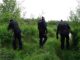 Policjanci Archiwum X wracają do sprawy zabójstwa 18-latki z Brzeska