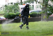 Odkomarzanie także w Bochni. Opryski chemiczne od poniedziałku