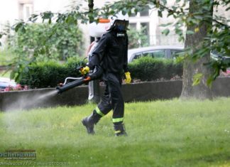 Odkomarzanie także w Bochni. Opryski chemiczne od poniedziałku