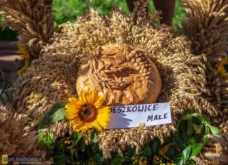 Ogłoszono konkurs na najpiękniejszy wieniec dożynkowy