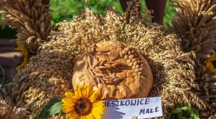 Starostwo powiatowe zachęca do udziału w konkursie na wieniec dożynkowy