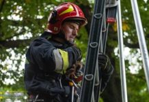 Planty w Bochni. Strażacy uratowali małego kota – ZDJĘCIA
