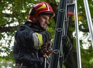 Planty w Bochni. Strażacy uratowali małego kota – ZDJĘCIA
