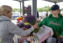 W sobotę 4. edycja Sąsiedzkich Targów Rzeczy Wszelakich