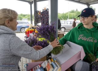 Bochnia. Sąsiedzki Targ Rzeczy Wszelakich – ZDJĘCIA