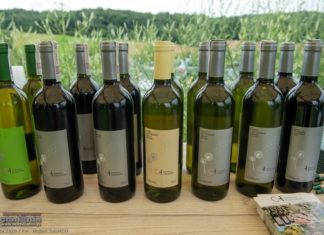 Dni Otwartych Winnic w Chronowie – ZDJĘCIA