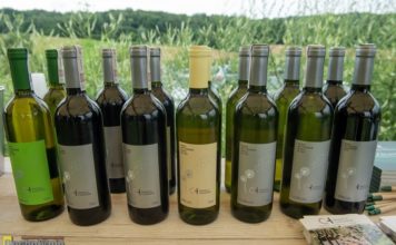 Dni Otwartych Winnic w Chronowie – ZDJĘCIA
