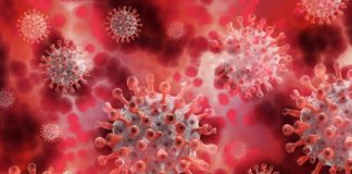 Koronawirus w poniedziałek. Liczba nowych zakażeń w Małopolsce nadal wysoka – RAPORT