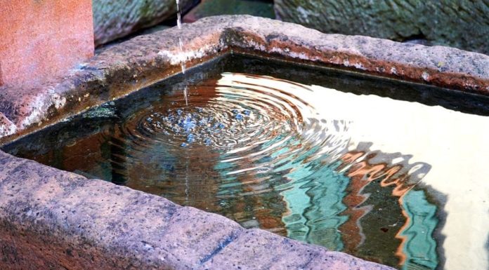 Można dostać do 5 000 zł dotacji na małą retencję