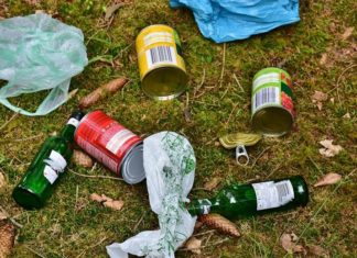 Nawet 5 tys. zł kary i prace społeczne za wyrzucanie śmieci do lasu. Dobry pomysł?