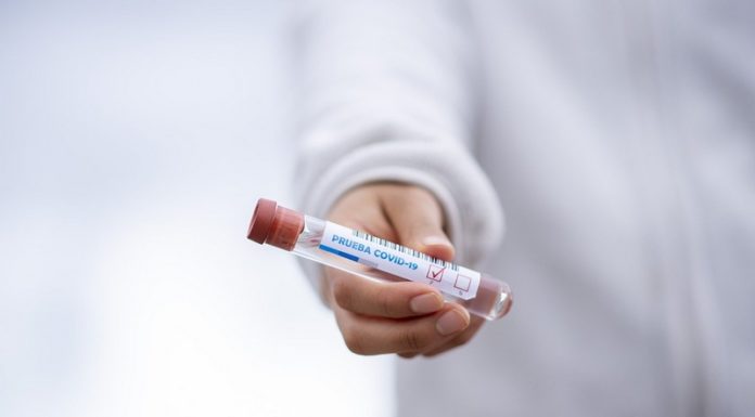 Koronawirus. Ognisko zakażeń w brzeskim UM i Starostwie