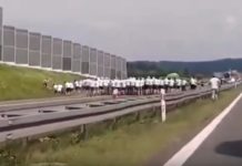 Ustawka kiboli na A4 koło Brzeska – WIDEO