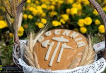 Bochnia. W niedzielę odbyły się Dożynki Powiatowe – ZDJĘCIA